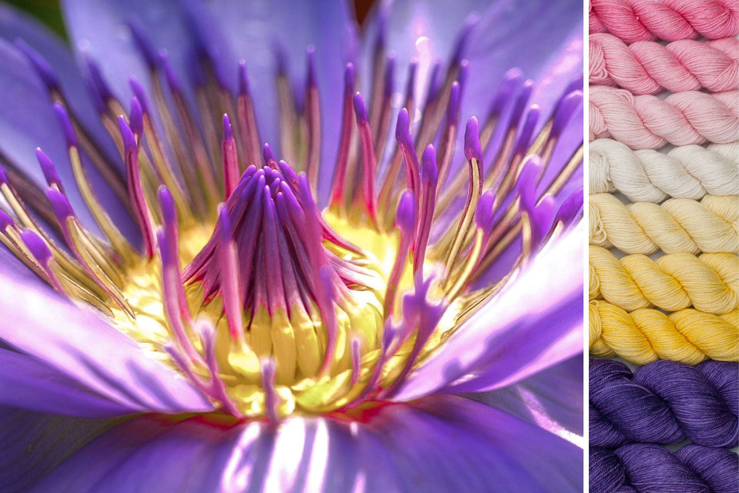 Lotus: Cosmic Connections MKAL Set