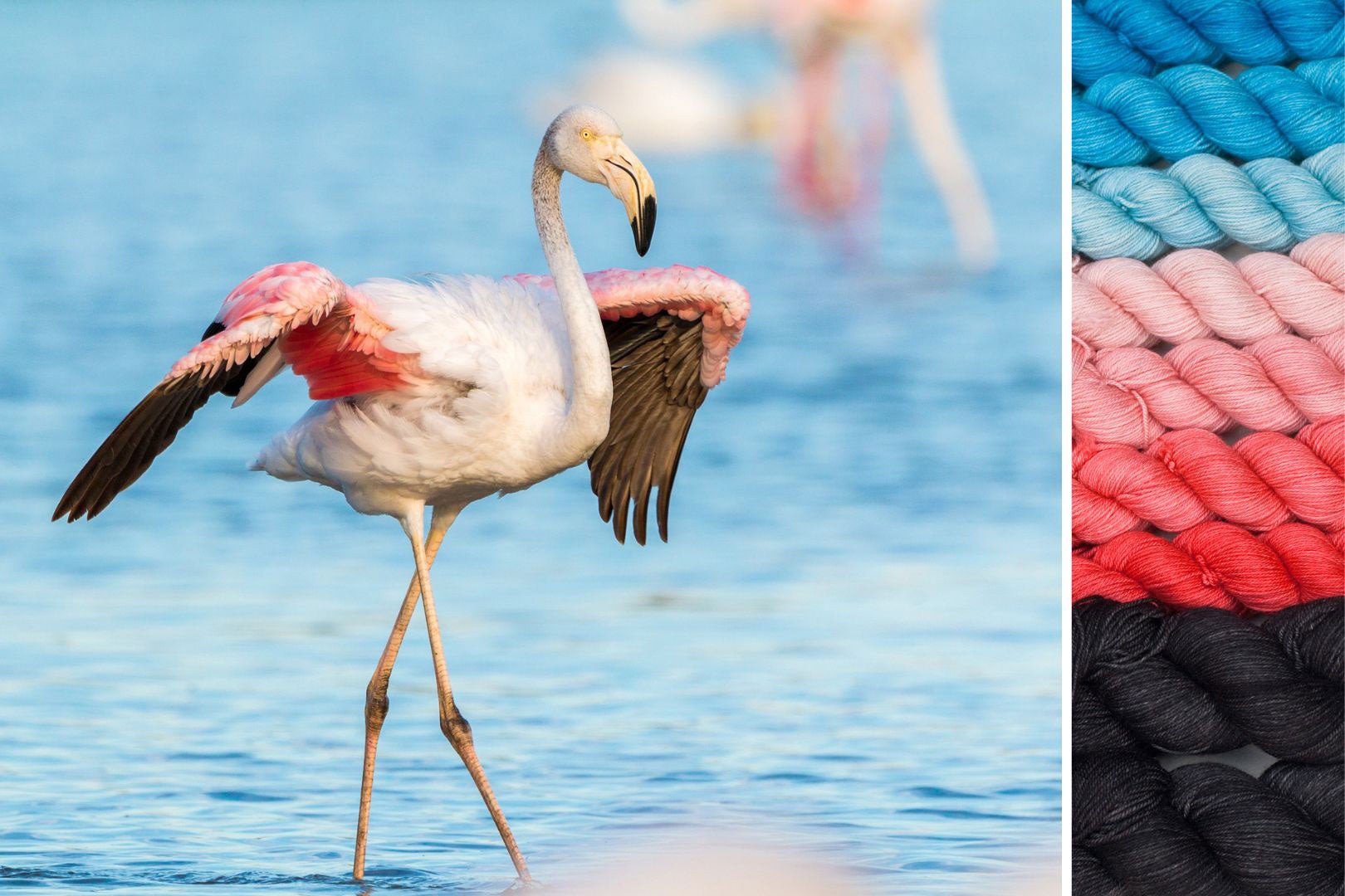 Flamingo: Wings of Wonder MKAL Set