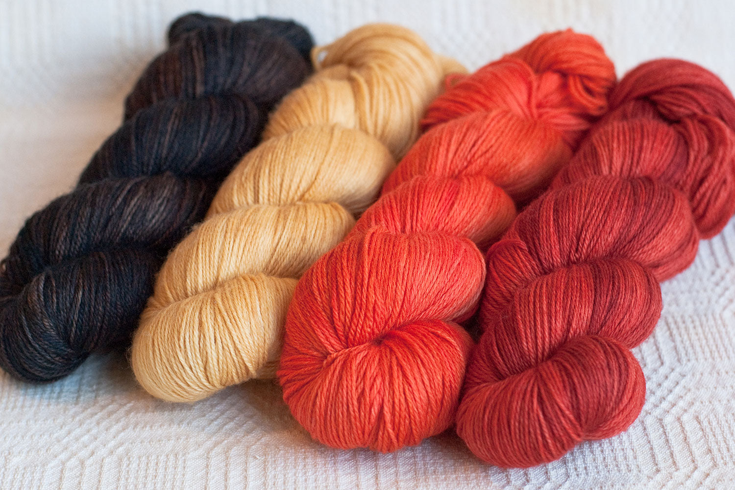 Spicy: Only Yarn in the Building MKAL Set