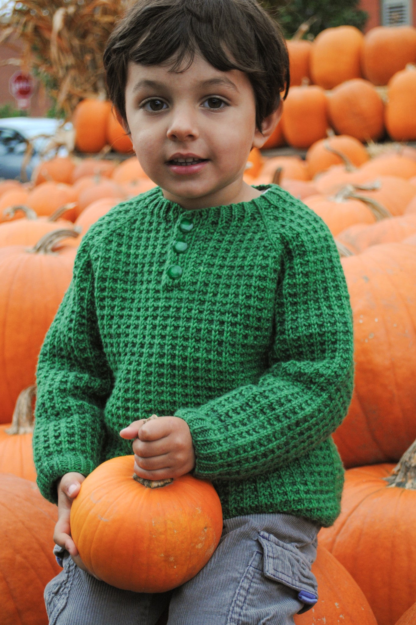 Bur Oak boy's raglan sweater with button placket